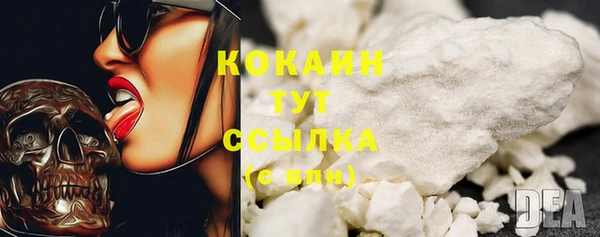 ГАЛЛЮЦИНОГЕННЫЕ ГРИБЫ Абаза
