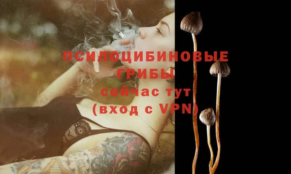 ГАЛЛЮЦИНОГЕННЫЕ ГРИБЫ Абаза