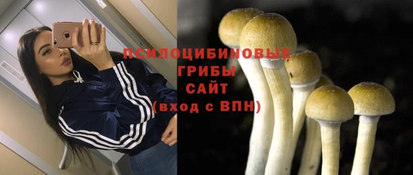 ГАЛЛЮЦИНОГЕННЫЕ ГРИБЫ Абаза