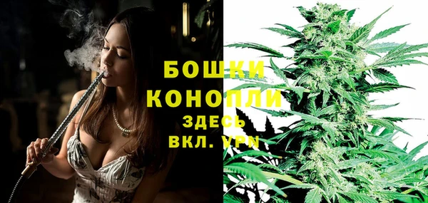 ГАЛЛЮЦИНОГЕННЫЕ ГРИБЫ Абаза