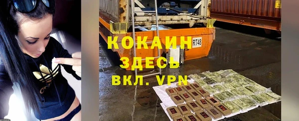 ГАЛЛЮЦИНОГЕННЫЕ ГРИБЫ Абаза