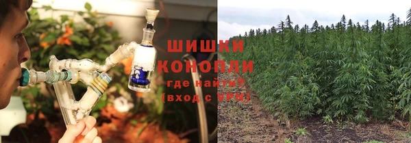 2c-b Алзамай