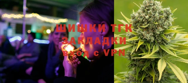 ГАЛЛЮЦИНОГЕННЫЕ ГРИБЫ Абаза